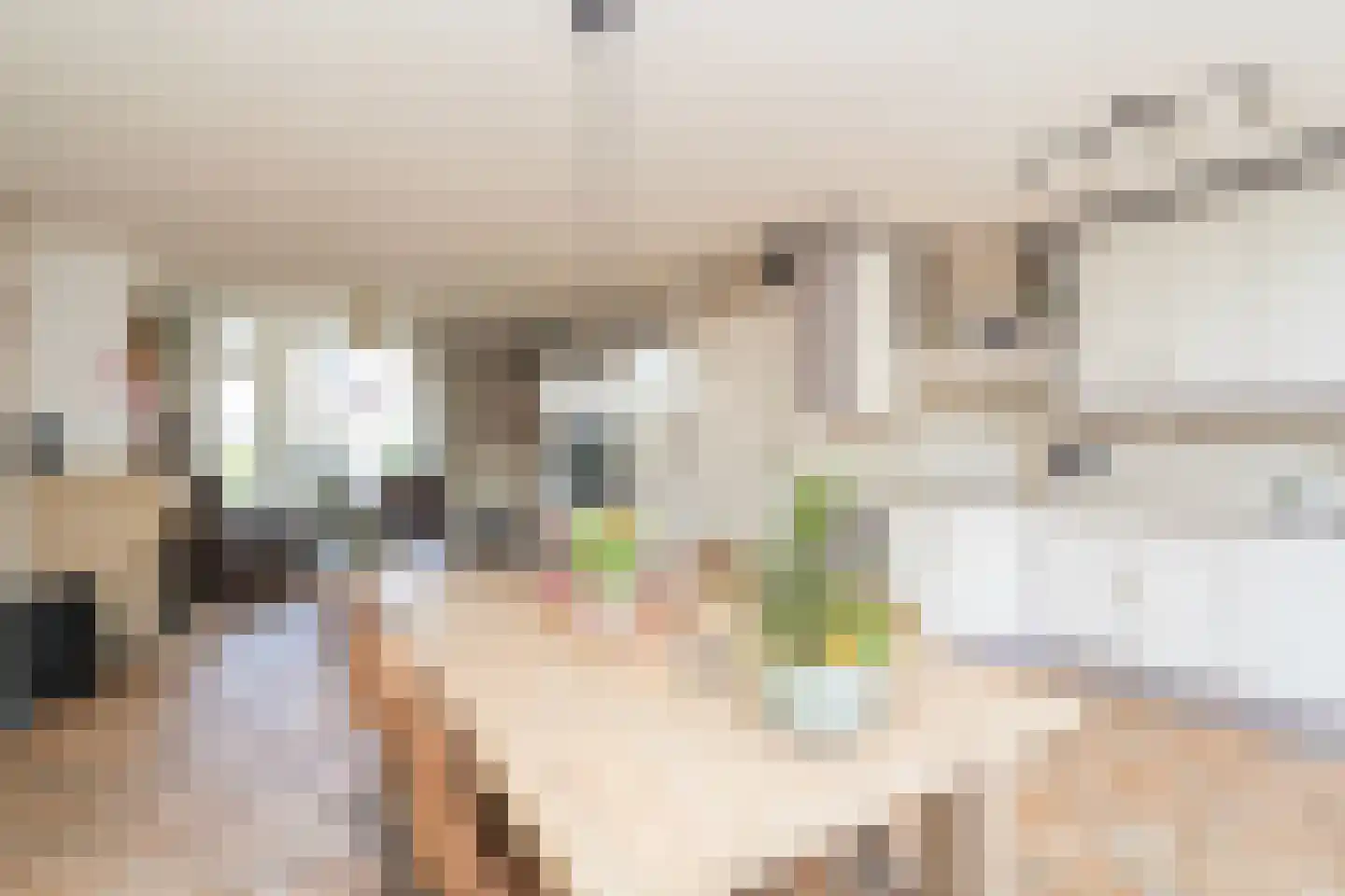 Mantingestraat 39 Tilburg thumbnail 19