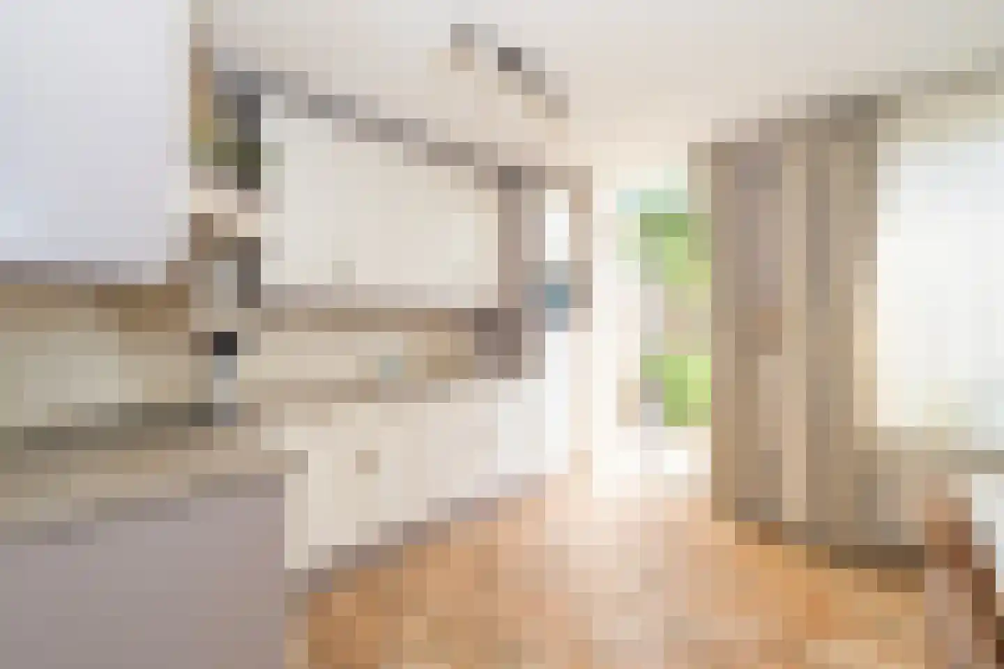 Mantingestraat 39 Tilburg thumbnail 21