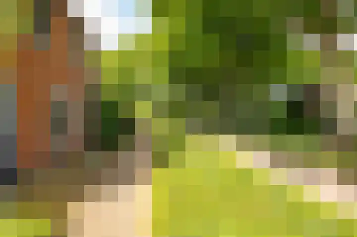 Mantinghstraat 34 Hoogeveen thumbnail 57