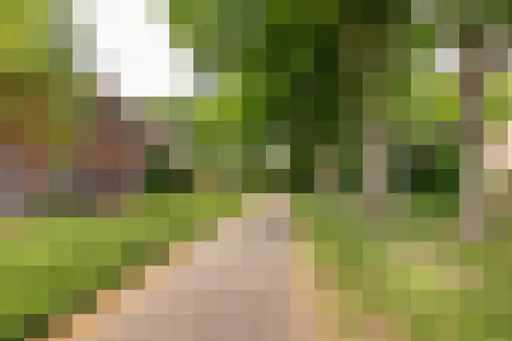 Mantinghstraat 34 Hoogeveen thumbnail 58