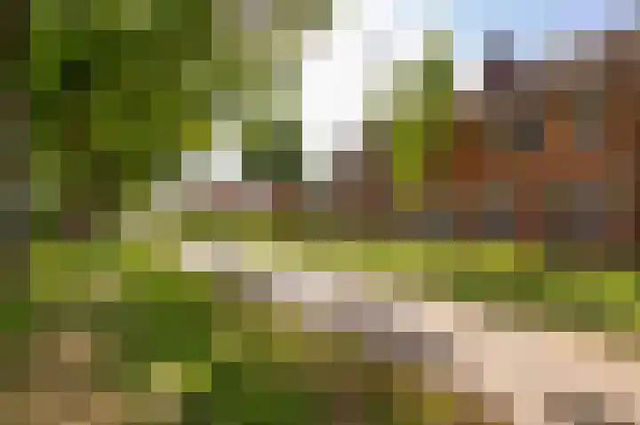 Mantinghstraat 34 Hoogeveen thumbnail 59