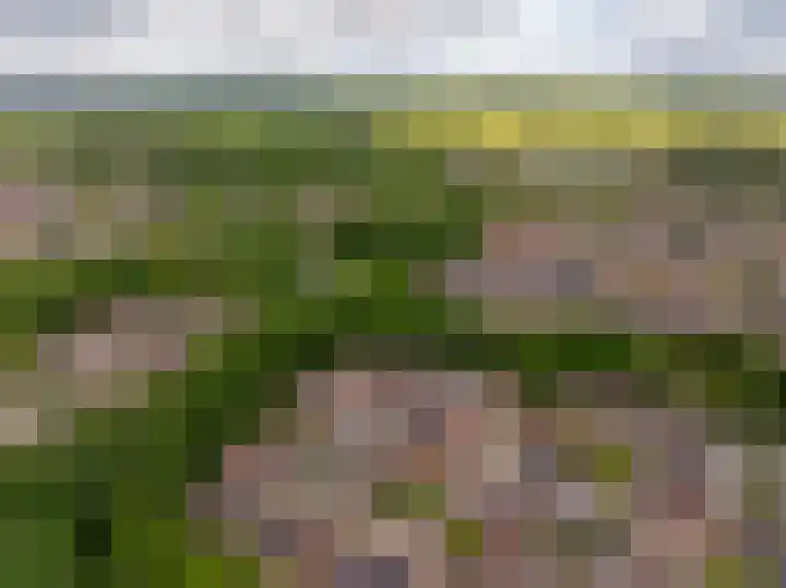Mantinghstraat 34 Hoogeveen thumbnail 64