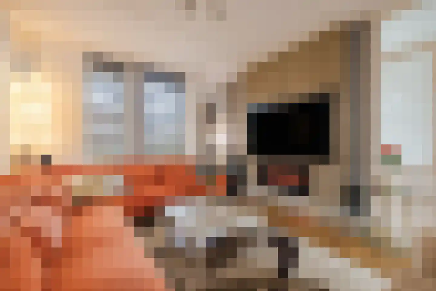 Mantinghstraat 47 Hoogeveen thumbnail 10
