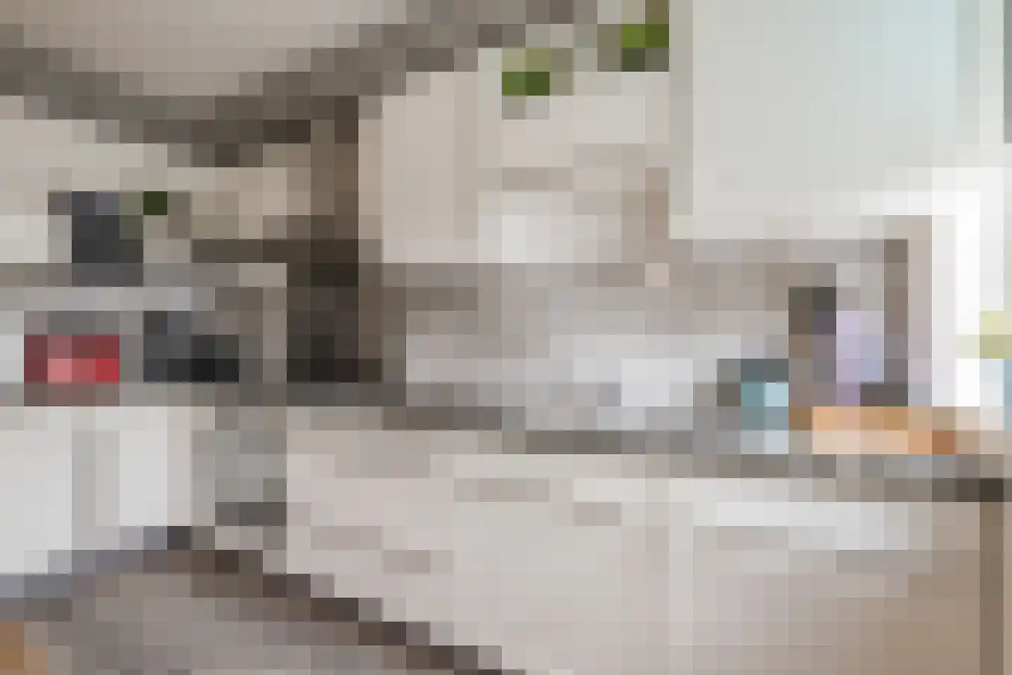 Mantinghstraat 47 Hoogeveen thumbnail 13