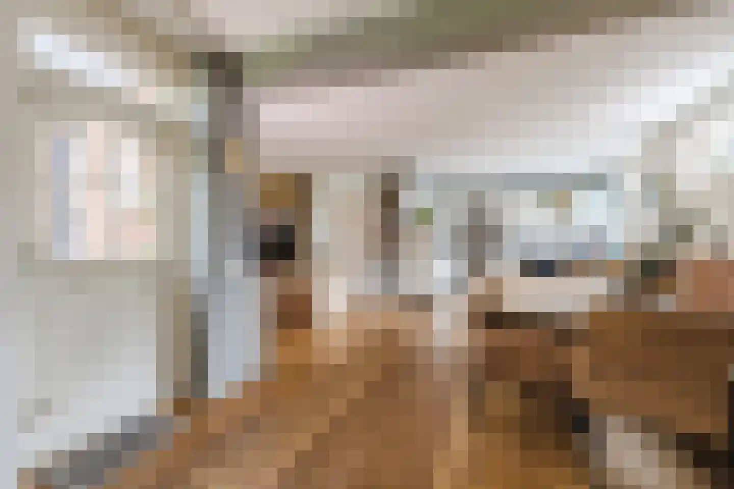 Mantinghstraat 47 Hoogeveen thumbnail 17