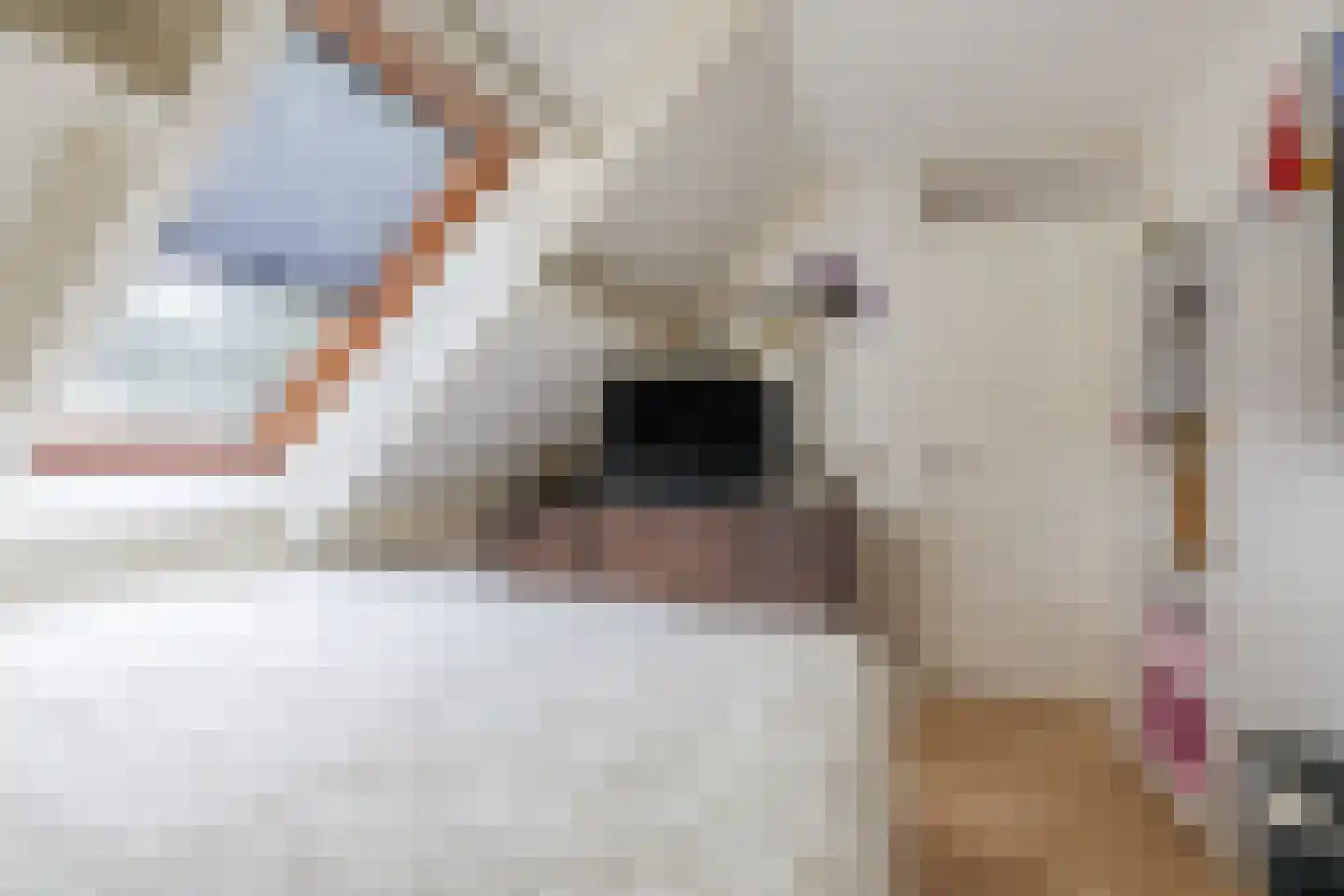Mantinghstraat 47 Hoogeveen thumbnail 26