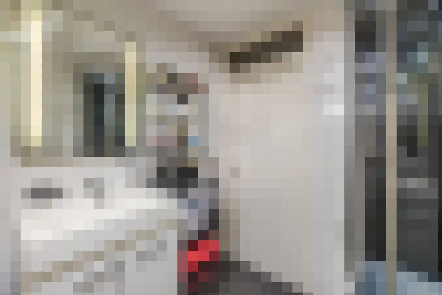 Mantinghstraat 47 Hoogeveen thumbnail 35