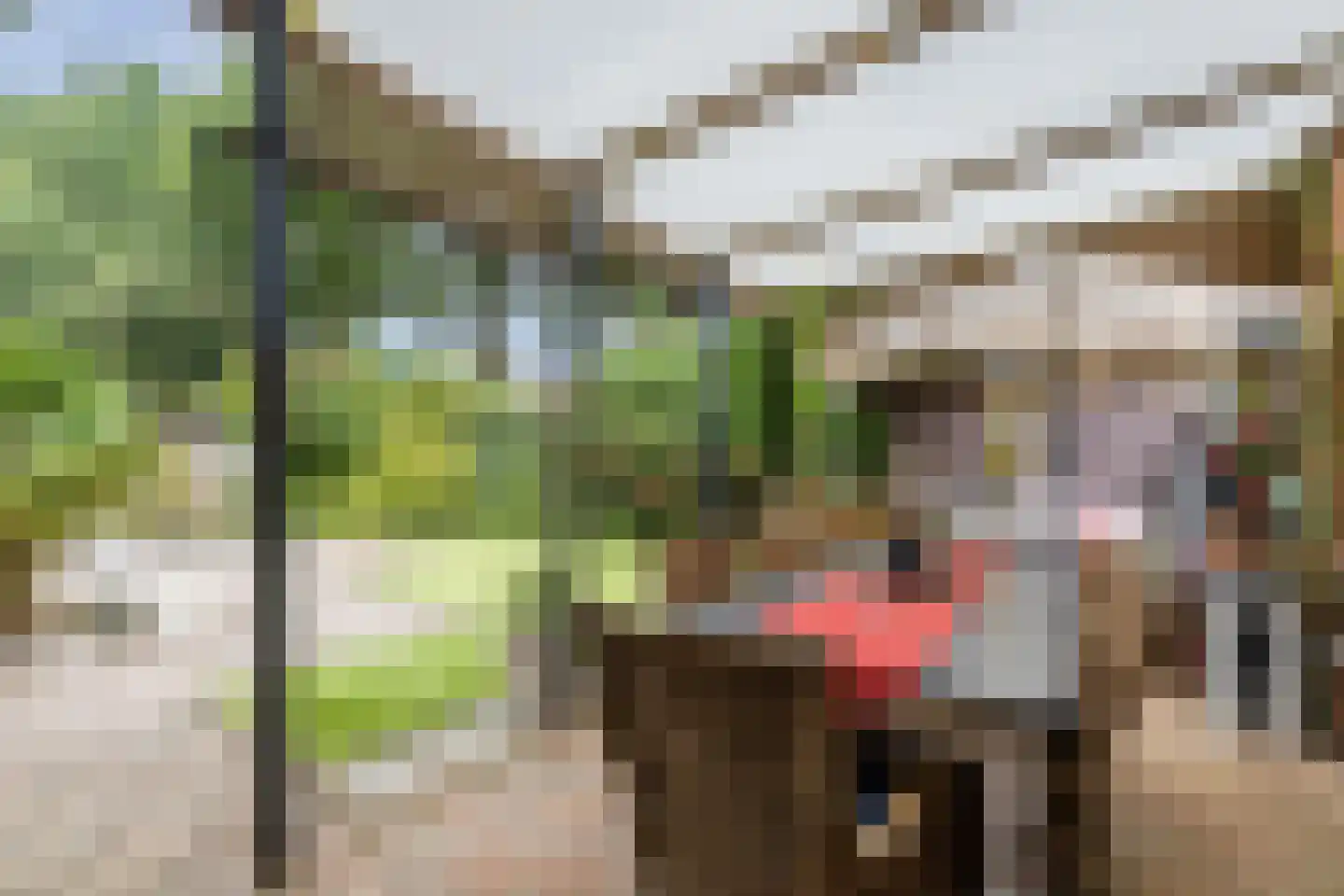 Mantinghstraat 47 Hoogeveen thumbnail 37