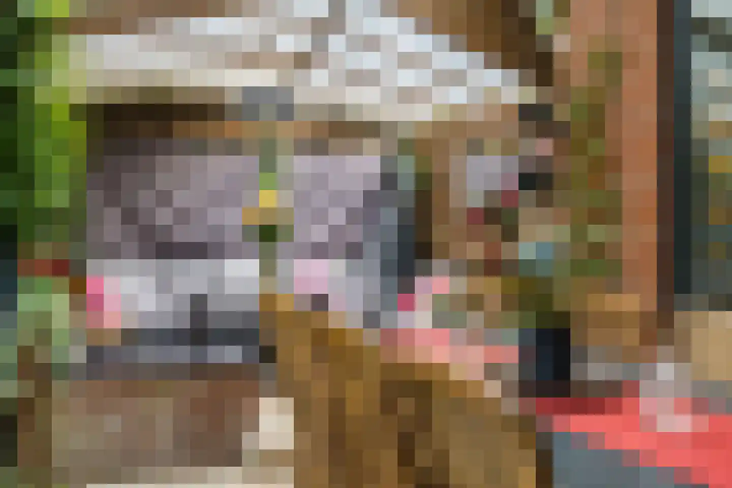 Mantinghstraat 47 Hoogeveen thumbnail 38