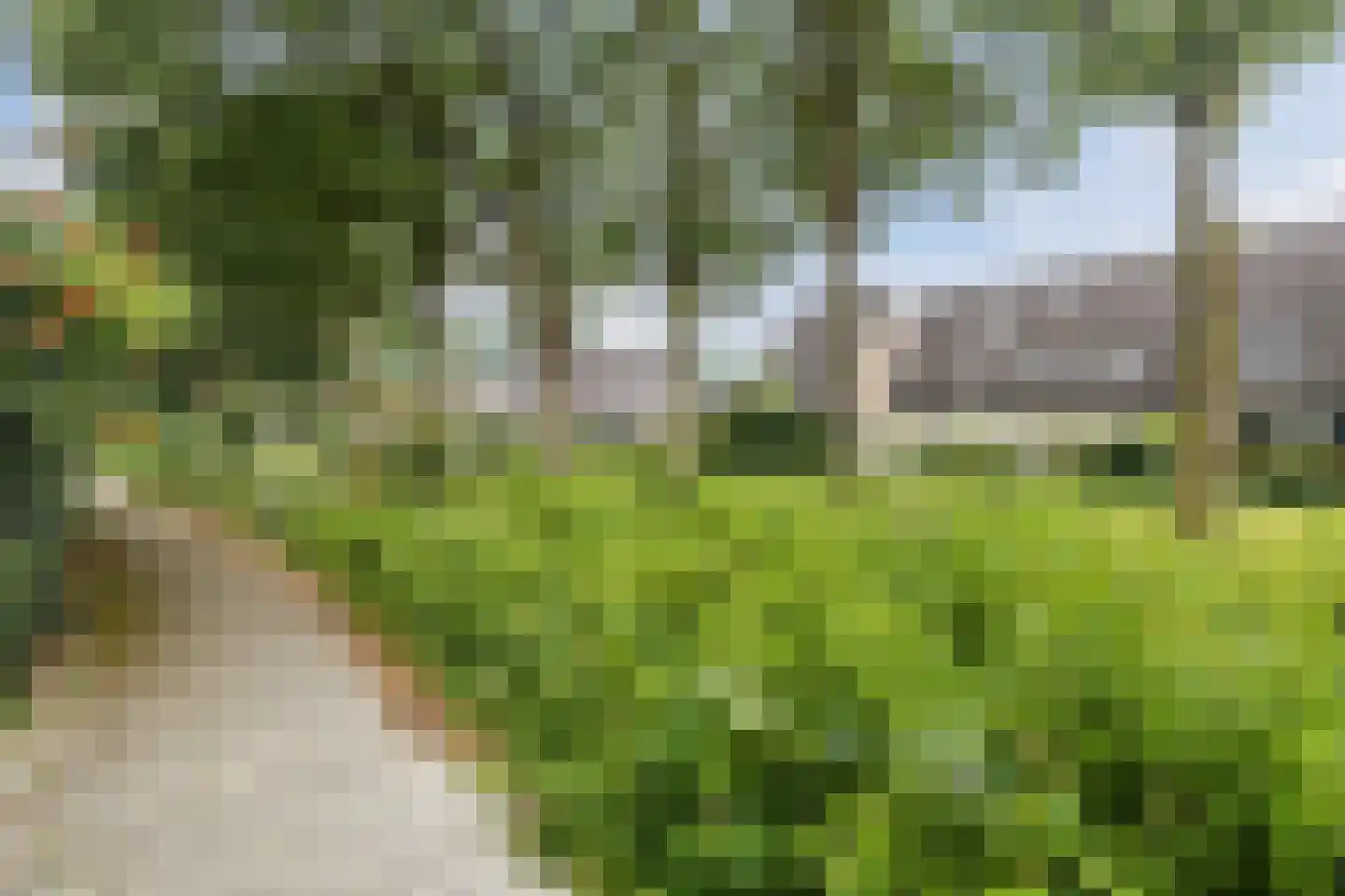 Mantinghstraat 47 Hoogeveen thumbnail 48
