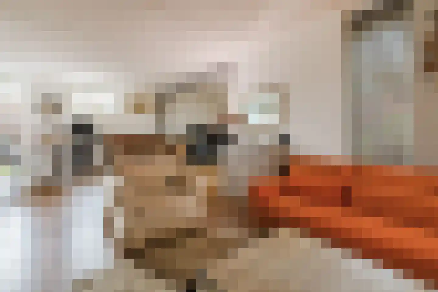 Mantinghstraat 47 Hoogeveen thumbnail 8