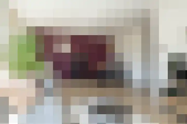 Mantinghstraat 48 Hoogeveen thumbnail 14