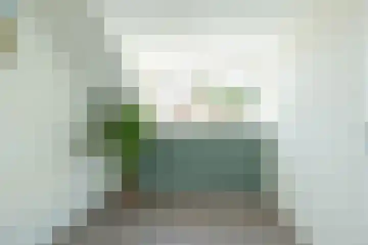 Mantinghstraat 48 Hoogeveen thumbnail 30