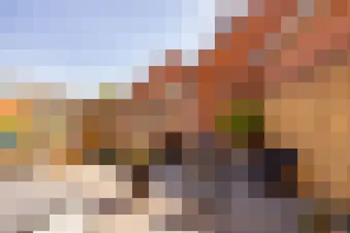 Mantinghstraat 48 Hoogeveen thumbnail 43