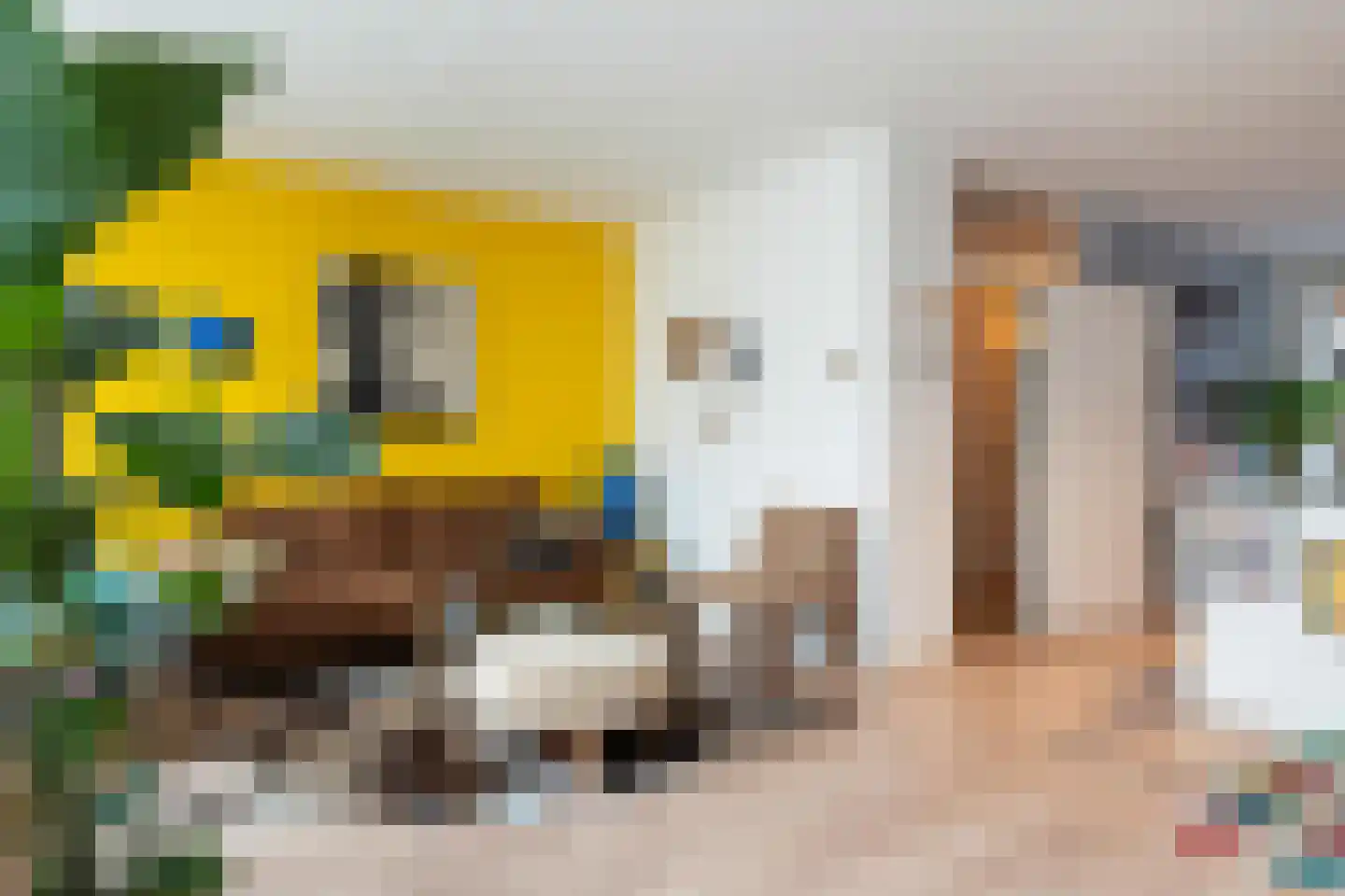 Mantinghstraat 52 Hoogeveen thumbnail 16