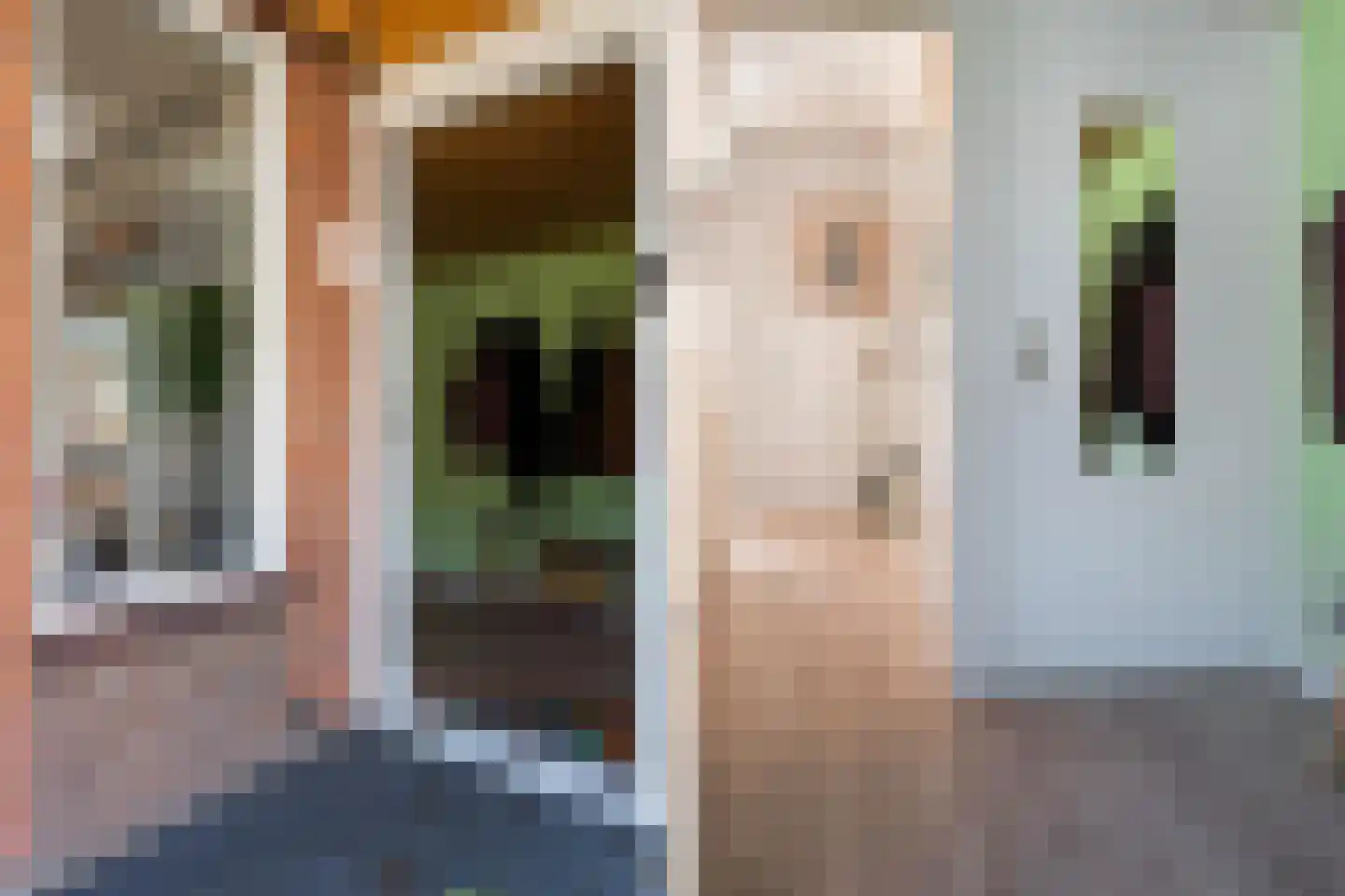 Mantinghstraat 52 Hoogeveen thumbnail 8