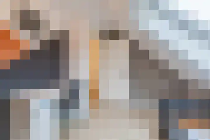 Mantinghstraat 73 Hoogeveen thumbnail 36