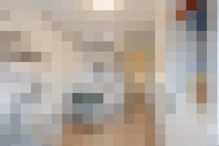 Mantinghstraat 73 Hoogeveen thumbnail 38