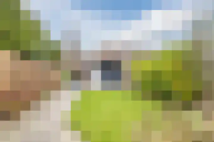 Mantinghstraat 73 Hoogeveen thumbnail 43