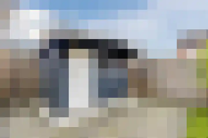 Mantinghstraat 73 Hoogeveen thumbnail 44