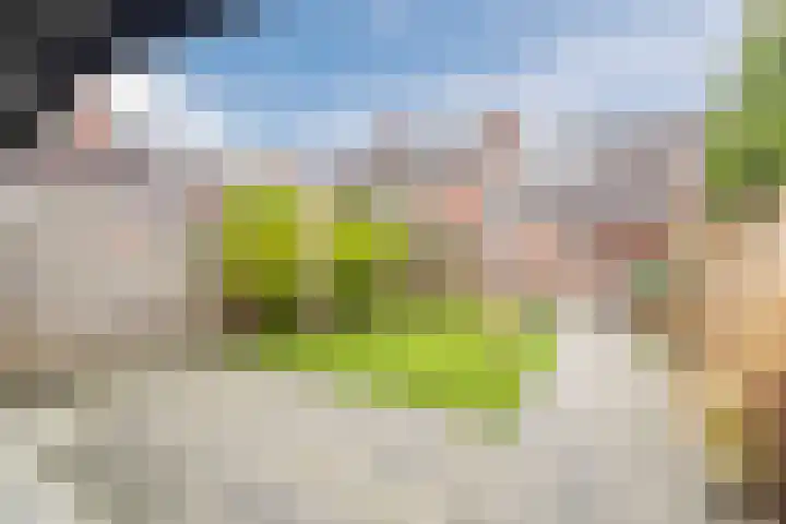 Mantinghstraat 73 Hoogeveen thumbnail 45