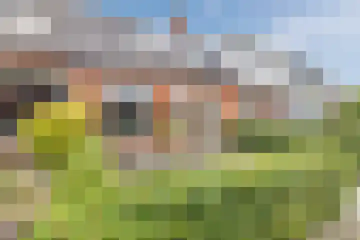 Mantinghstraat 73 Hoogeveen thumbnail 6