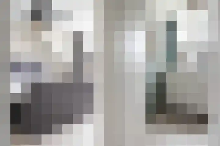 Mantinghstraat 77 Hoogeveen thumbnail 20