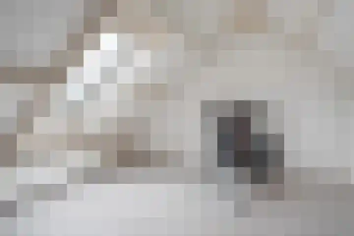 Mantinghstraat 77 Hoogeveen thumbnail 28