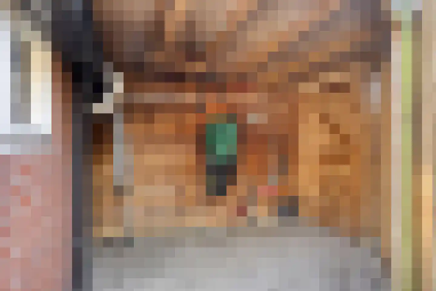 Mantinghstraat 86 Hoogeveen thumbnail 37