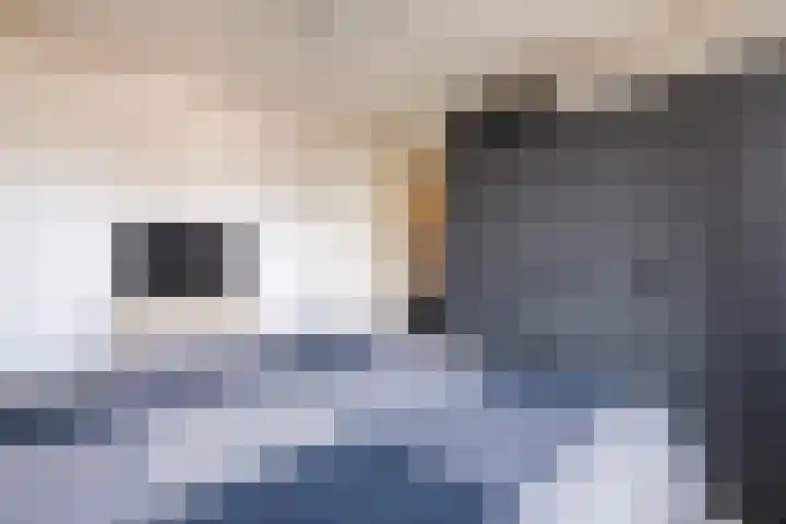 Mantinghstraat 90 Hoogeveen thumbnail 31