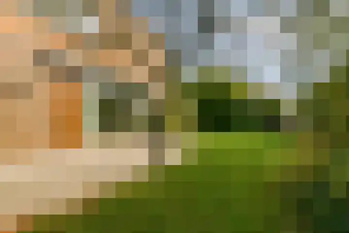 Manus Peetstraat 2 Amstelveen thumbnail 21