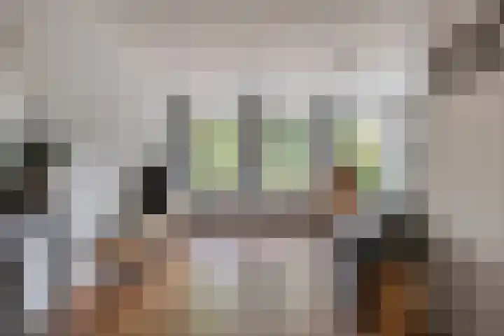 Manusveert 110 Tuitjenhorn thumbnail 12