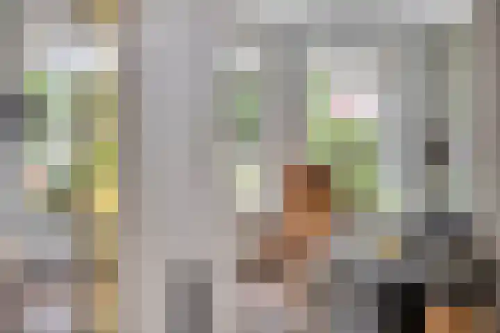 Manusveert 110 Tuitjenhorn thumbnail 17