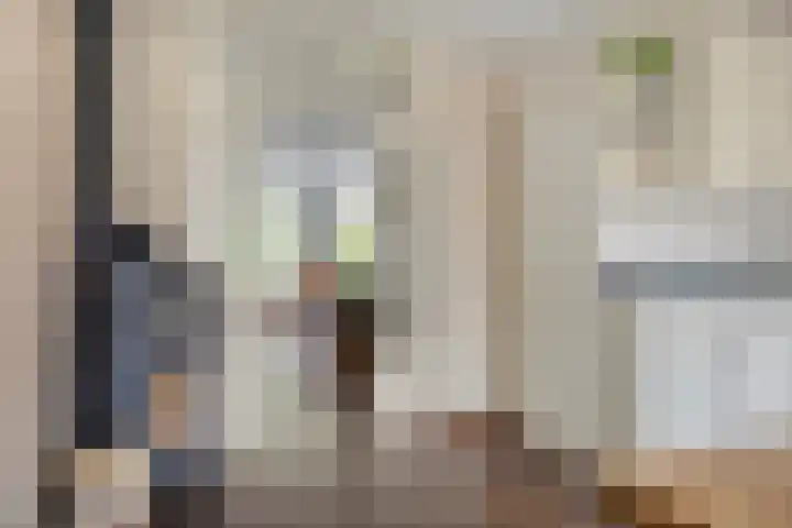 Manusveert 110 Tuitjenhorn thumbnail 19