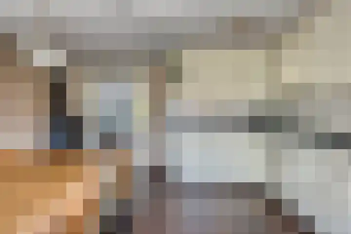 Manusveert 110 Tuitjenhorn thumbnail 20