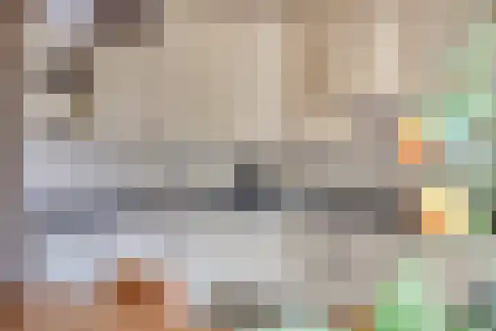Manusveert 110 Tuitjenhorn thumbnail 25
