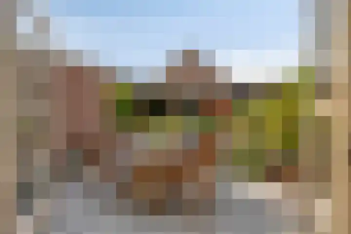 Manusveert 110 Tuitjenhorn thumbnail 26