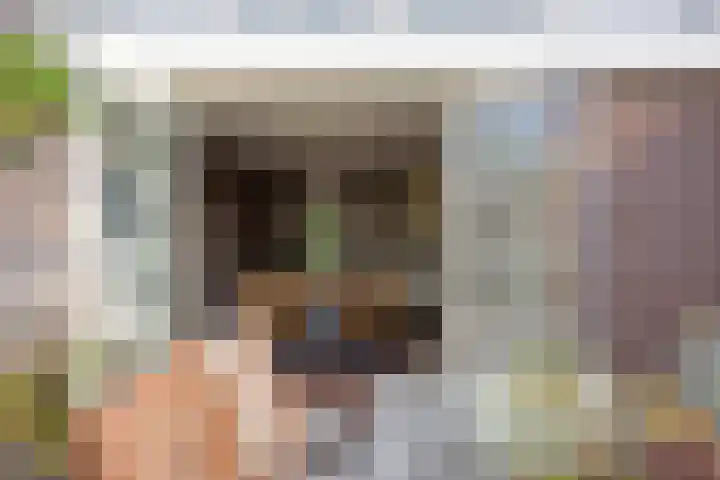Manusveert 110 Tuitjenhorn thumbnail 27