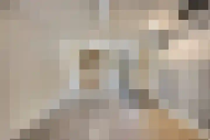Manusveert 110 Tuitjenhorn thumbnail 28