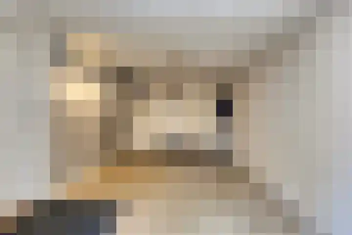 Manusveert 110 Tuitjenhorn thumbnail 29
