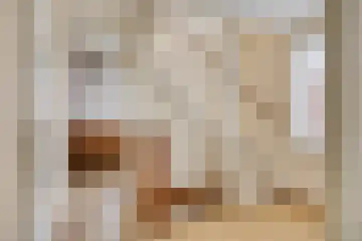 Manusveert 110 Tuitjenhorn thumbnail 31