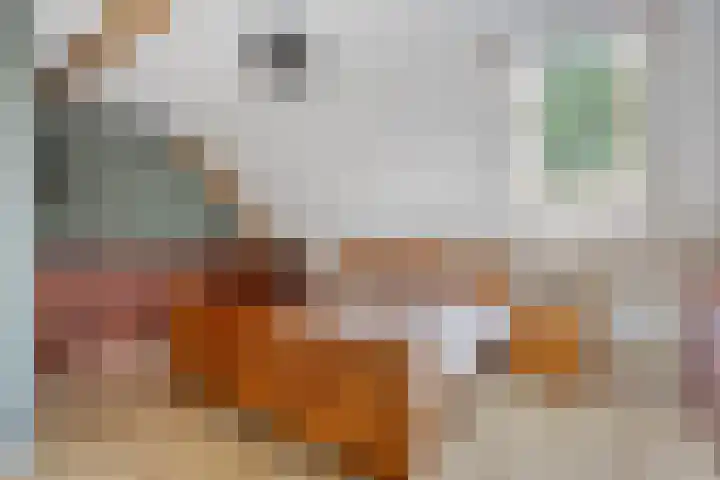Manusveert 110 Tuitjenhorn thumbnail 33