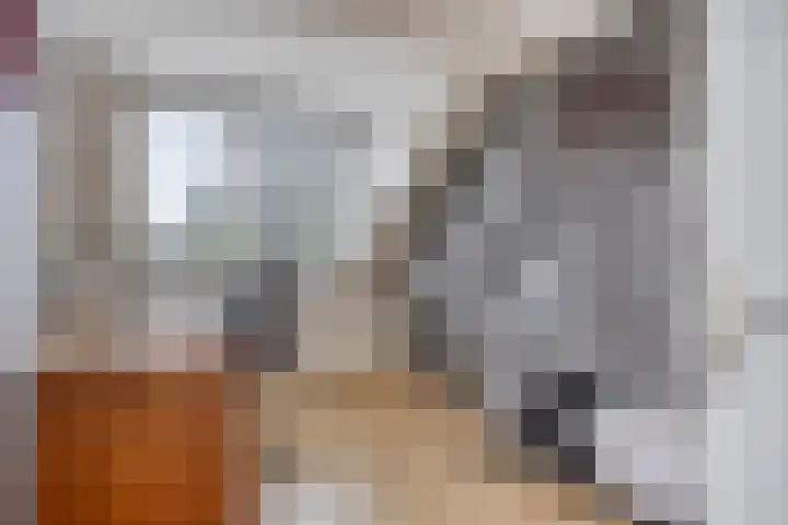 Manusveert 110 Tuitjenhorn thumbnail 39