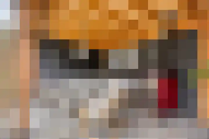 Manusveert 110 Tuitjenhorn thumbnail 4