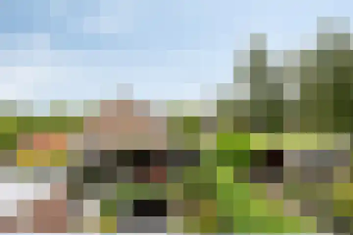 Manusveert 110 Tuitjenhorn thumbnail 40