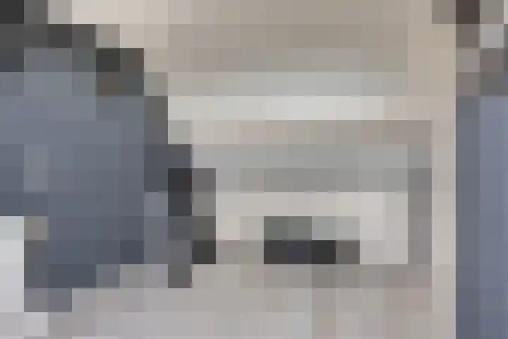 Manusveert 110 Tuitjenhorn thumbnail 42