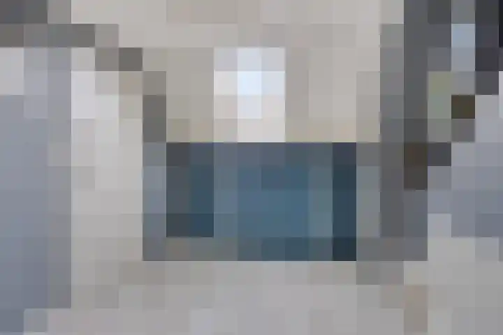 Manusveert 110 Tuitjenhorn thumbnail 43