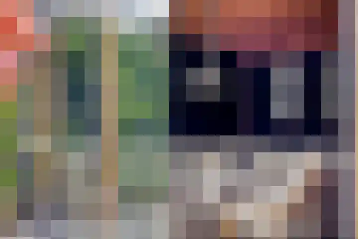 Manusveert 110 Tuitjenhorn thumbnail 45