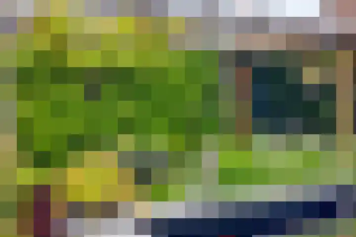 Manusveert 110 Tuitjenhorn thumbnail 46