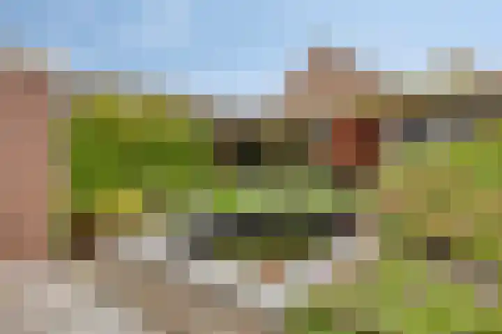 Manusveert 110 Tuitjenhorn thumbnail 47